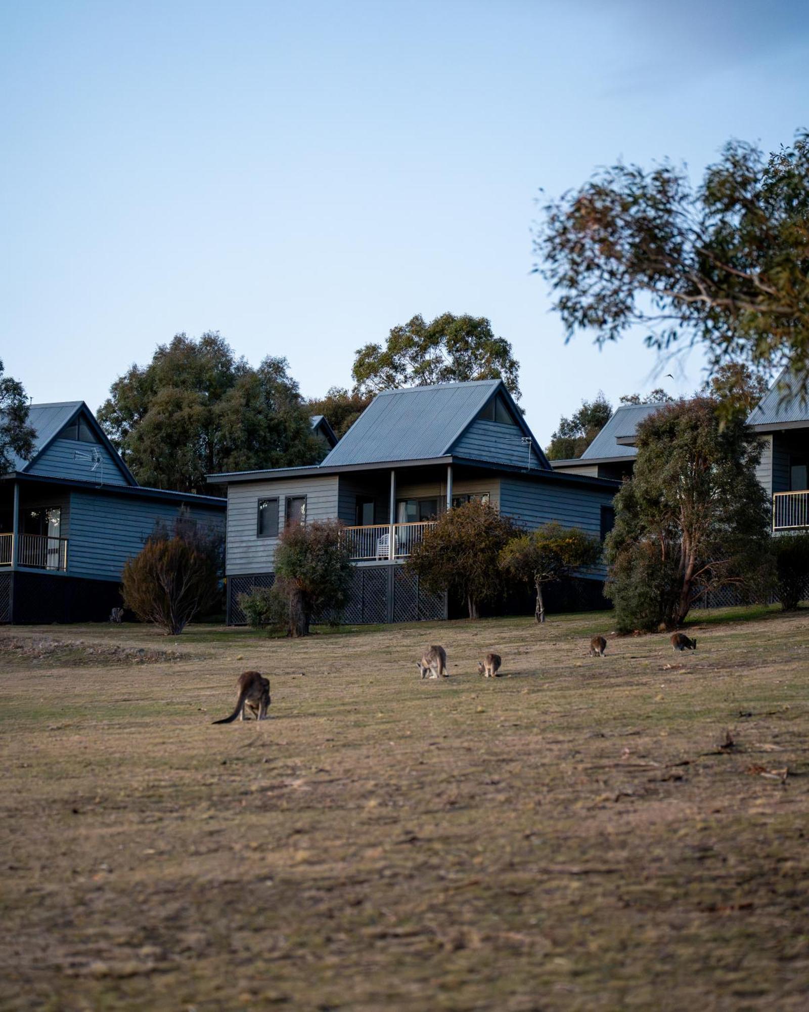Adventist Alpine Village Jindabyne Exterior foto